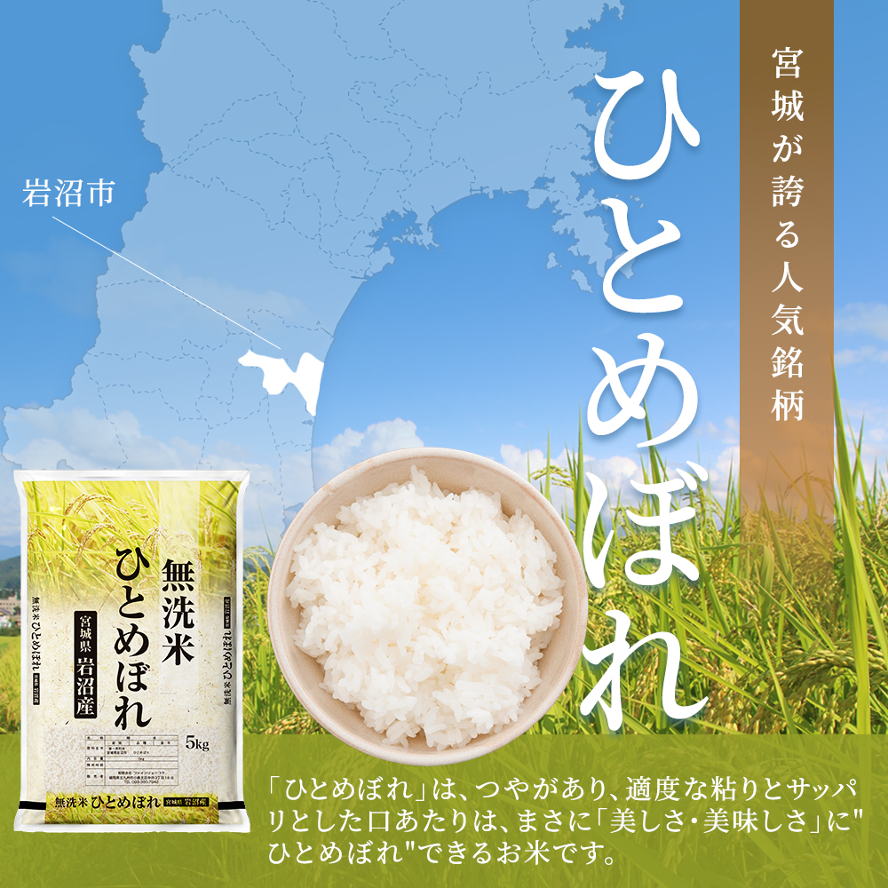 【先行予約/2ヶ月連続定期便】令和7年産新米 ひとめぼれ 10kg×2回 米 岩沼産 お米 白米 無洗米 ブランド米 単一原料米 10キロ こめ コメ おこめ ご飯 ライス 東北 宮城県産 宮城県産ひとめぼれ 宮城米