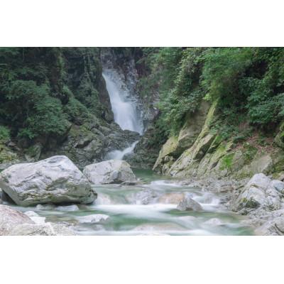 ふるさと納税 富士河口湖町 【令和7年産】　「幻の米」山梨県北杜市産白州よんぱち米(白米)10kg |  | 02