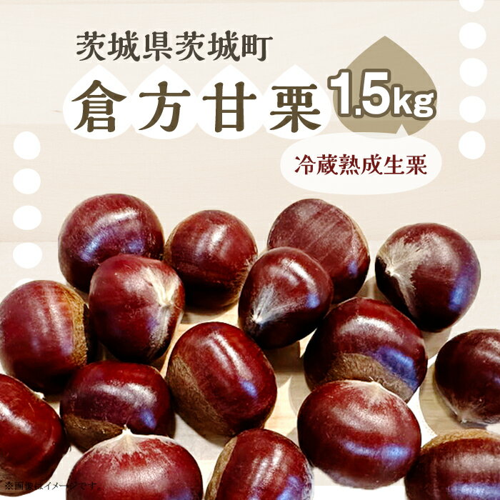 【ふるさと納税】538 倉方甘栗 1.5kg 栗 甘栗 希少品種 数量限定 くり 茨城県産