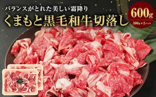 くまもと黒毛和牛 切落し 計600g（300g×2パック）国産 和牛 牛肉