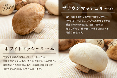 島人マッシュルームセット（ジャンボ×1ホワイト・ブラウン各100gセット） マッシュルーム きのこ詰合せセット ホワイトマッシュルーム ブラウンマッシュルーム 栄養豊富 低カロリー 糸満市 沖縄県