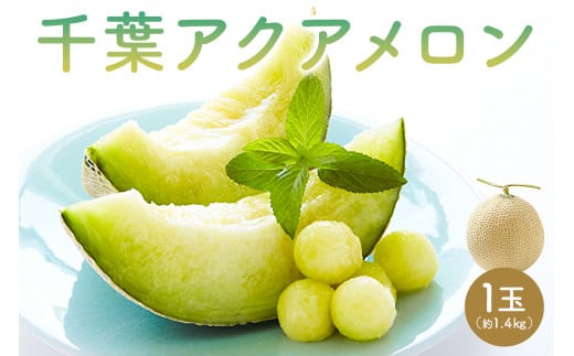 【通常配送】のし対応可能 千葉アクアメロン(マスクメロン)1玉 mi0018-0002【メロン 青肉 ギフト 贈答 プレゼント フルーツ 果物】