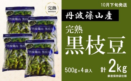 黒枝豆【早期予約/2026年10月下旬発送】晩摘み 完熟  丹波黒枝豆(500g×4個・枝なし)  黒枝豆