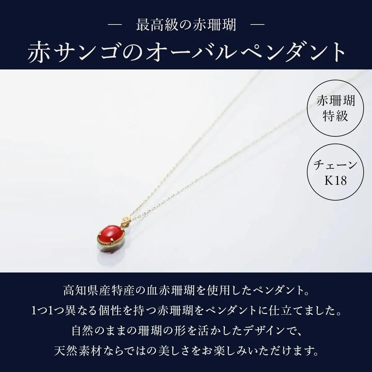 赤珊瑚 オーバルペンダント 珊瑚