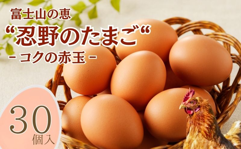 富士山の恵“忍野のたまご“‐コクの赤玉‐30個入　　鶏卵　都留　忍野　新鮮　こだわり　名水　卵　たまご　玉子　タマゴ　大容量　お得　おしののたまご　濃厚　平飼い