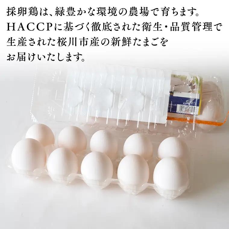 【6ヵ月定期便】雪平養鶏場 桜川育ちの 新鮮 たまご 合計180個 （20個＋10個割れ補償付)×6回  数量限定 卵 定期便 茨城県 桜川市 [SC034sa]