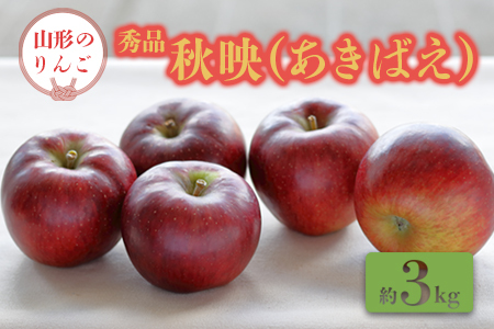 【2026年発送】「秀品」山形のりんご（秋映）約3kg_H164(R8)
