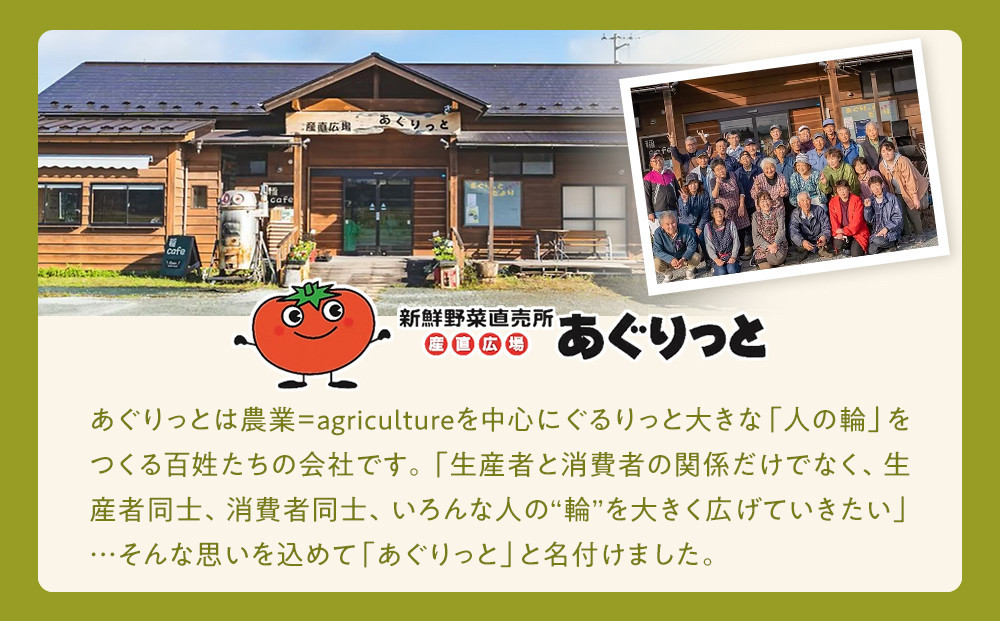 ずんだらけスイーツセットA【ずんだバター、ずんだバタークリーム、カッサータ（秘伝豆、ドライフルーツ入り）、ずんだのレアチーズケーキ】【冷凍配送】