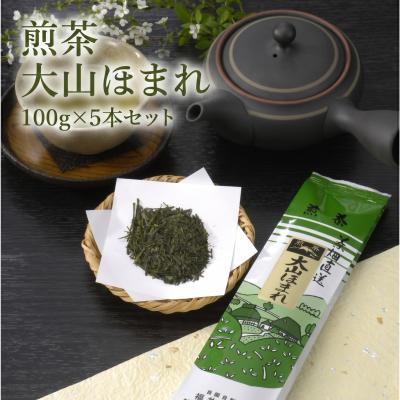 ふるさと納税 米子市 「煎茶大山ほまれ」100g×5本セット