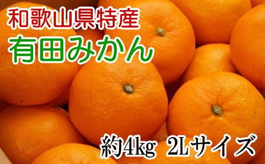 
            [秀品]和歌山有田みかん約4kg(2Lサイズ) ※2025年11月上旬～2026年1月下旬頃に順次発送予定（お届け日指定不可）/ みかん 果物 ミカン 柑橘 フルーツ オレンジ くだもの 和歌山 有田みかん 有田【tec915A】
          
