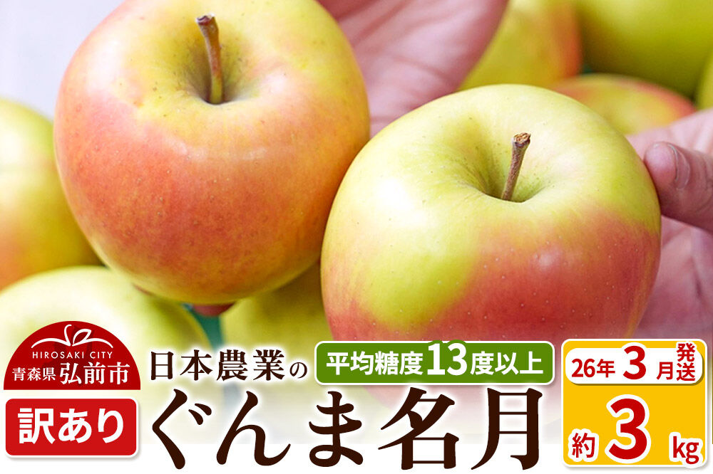 【26年3月クール便発送】りんご 平均糖度13度以上！ ぐんま名月 約3kg 訳あり クール便 青森 果物 フルーツ 林檎 リンゴ くだもの 不揃い 規格外 [ぐんま名月 りんご 訳あり クール便 果物 フルーツ 林檎 リンゴ くだもの 不揃い 規格外 青森県 弘前市]