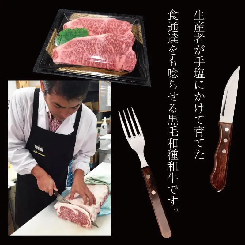 【A5A4等級】博多和牛サーロインステーキ用 約500g(2枚入) 3R1