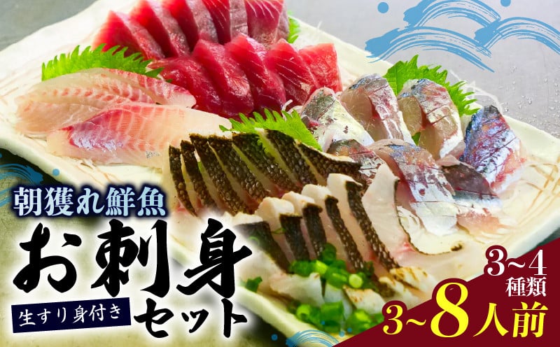 
            朝どれ地魚 ３～４種類 3～8人前 お刺身 セット 生すり身付き YS002-all
          