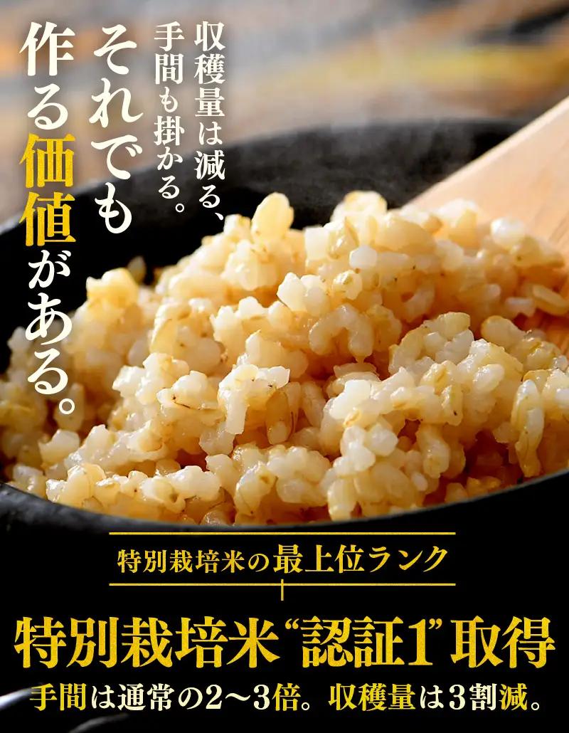 【先行予約】【令和8年産 新米】コシヒカリ 玄米 5kg 特別栽培米 農薬不使用 化学肥料不使用 ／ 残留農薬ゼロ 高品質 鮮度抜群 福井県産 ブランド米 ※2026年9月下旬より順次発送予定 [aw