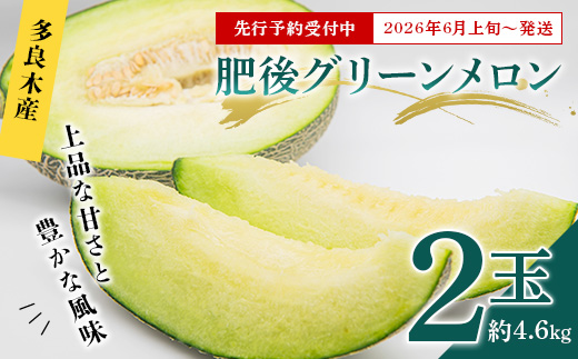 【2026年6月上旬〜順次発送 先行予約】大玉 肥後グリーンメロン 2玉 約4.6kg以上 熊本県産【 果物 フルーツ グリーンメロン 先行予約 4.6kg 青肉 期間限定 数量限定 熊本県 多良木町 】 101-0001