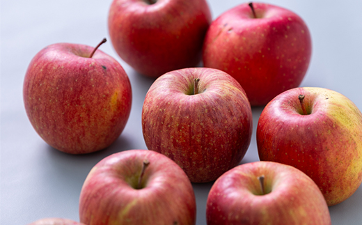 【訳あり】りんご 「葉取らずふじ」 (家庭用)約5kg(14～20個入)【配送不可地域：離島】