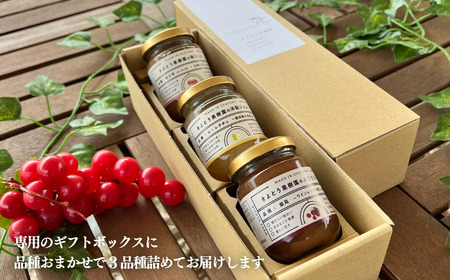 【きよとうファーム】果樹園の品種を楽しむ果実ジャム 3種 (岡山県産)9月以降順次発送【KF-K004-01】