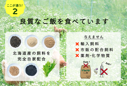 【全2回定期便】こだわりの無投薬･平飼い有精卵 25個《厚真町》【テンアール株式会社】 たまご 卵 鶏卵 玉子 生卵 平飼い 北海道 定期便[AXAN090]