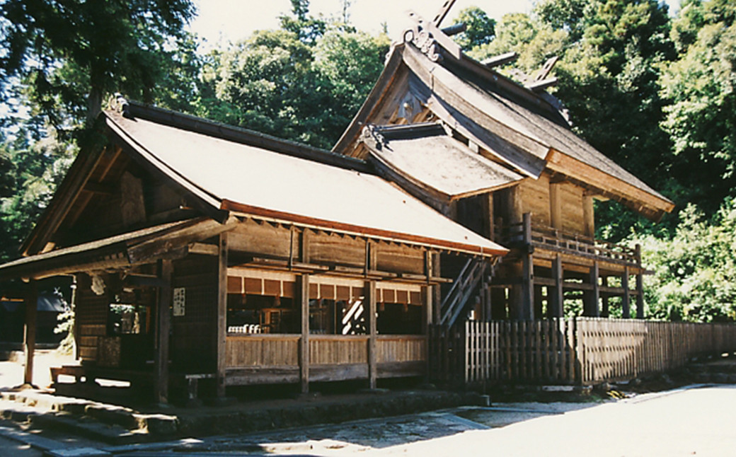 古来より“ 神が宿る草 ”といわれ、神社での御神体や霊草として、仏事や神事などに用いられてきました。