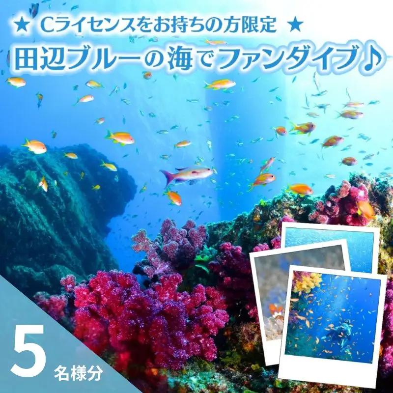 【和歌山 田辺・ファンダイブ／2ボート】大阪から2時間で叶う！田辺ブルーの海♪　5名様 ★Cライセンスお持ちの方限定★ / ダイビング スキューバダイビング ファンダイビング マリンスポーツ 体験 旅行 観光 レジャー アウトドア サンゴ 熱帯魚 水中 癒し【tds001-5-1】