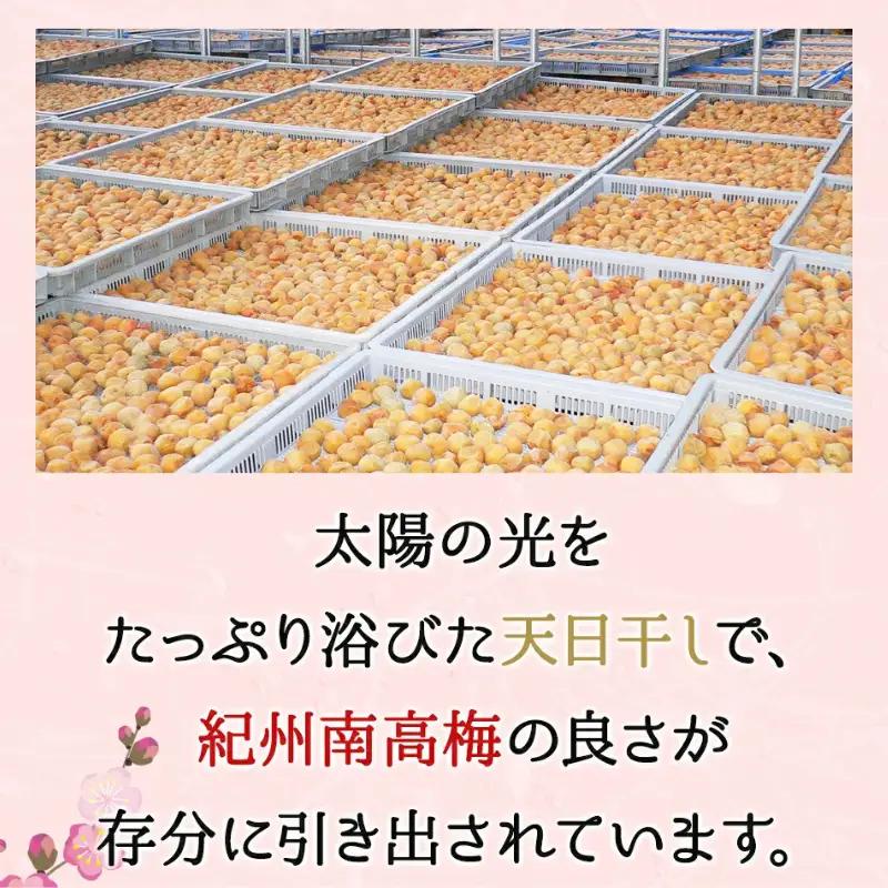 梅干し 750g 紀州南高梅梅白梅干し 塩分15％【kfo015-1】