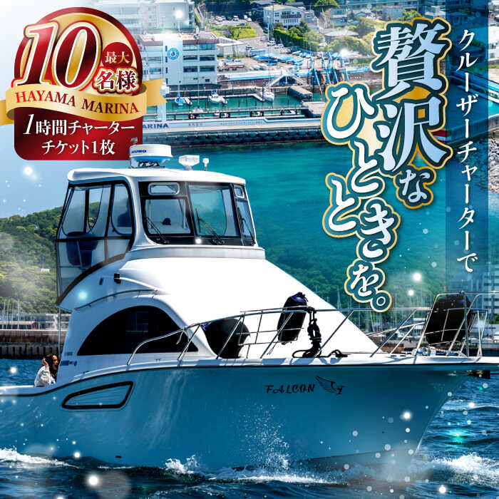【ふるさと納税】【葉山マリーナ】チャータークルーズチケット（10名様分） ／ モータークルーザー 船 乗船券 神奈川県 高額【(株)葉山マリーナー】[ASAV001]
