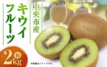 中央市産 キウイフルーツ （ ヘイワード ） 約2kg 【2026年12月下旬発送予定】 フルーツ 果物 くだもの 食物繊維 朝ごはん 朝食 キウイ キゥイ 