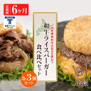 【ふるさと納税】定期便 6カ月 和牛 ライスバーガー 食べ比べ 6個セット＜徳寿＞白老牛 黒毛和牛 バーガー ライスバーガー 牛肉 北海道 肉料理 惣菜 北海道ふるさと納税 白老 ふるさと納税 北海道