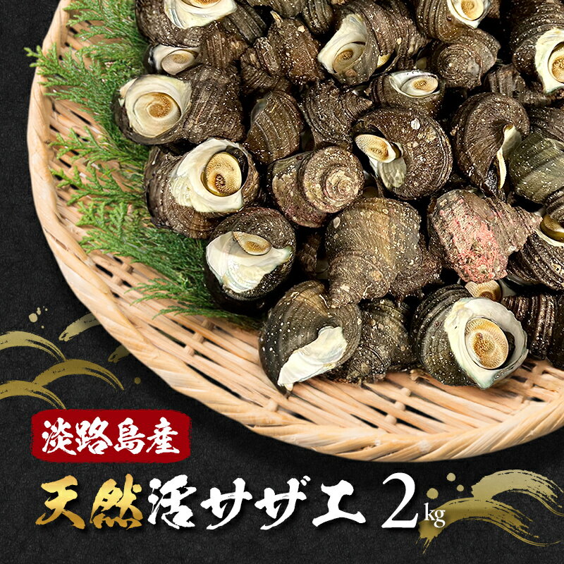 【ふるさと納税】淡路島産 天然 活サザエ 2kg サザエ 魚介類 海鮮 海鮮セット 兵庫県 洲本市 淡路島　お届け：6月上旬～3月上旬