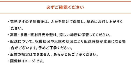 【先行予約】【数量・期間限定】久保平農園の源流山育ち完熟新高梨 5kg 産地直送 果物 なし 梨 箱入り 大分県 中津市