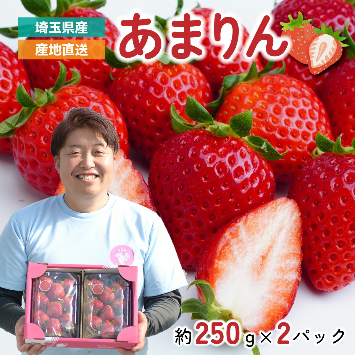 【ふるさと納税】いちご【先行予約】あまりん 2パック 約500g (1パック 約250g 9～15粒) | あまりん いちご イチゴ 苺 埼玉県オリジナル品種 大粒 甘い おいしい 新鮮 季節限定 期間限定 限定 高級 フルーツ ギフト 贈り物 贈答 国産 果物 産地直送 solfarm 埼玉県 東松山市