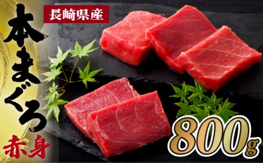 長崎県産 本まぐろ 赤身(養殖) マグロ クロマグロ 800g