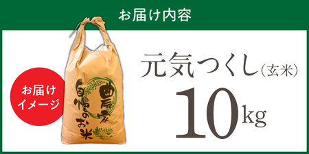 【令和7年産 新米】福岡県産ブランド米元気つくし 玄米 10kg_元気つくし 玄米 内容量 10kg 福岡県産 ブランド米 鮮度抜群 新鮮 福岡生まれ 品種 香り豊か ふっくら 食感 ご飯 おにぎり 