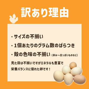ましくんの完全放し飼い土佐ジローの卵 18個入り 【R01217】