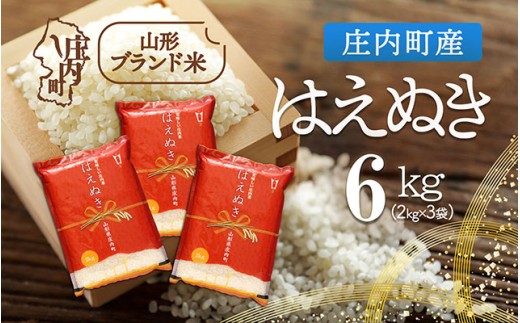 庄内町産 はえぬき 6kg 2kg×3袋 令和7年産 2025年産 ブランド米 コシヒカリの原点、亀の尾発祥の地 庄内