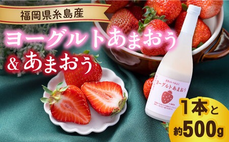 【先行予約】【冬】ヨーグルトあまおう720ml×あまおう約250g×2パック 【2025年12月上旬以降順次発送】糸島市 / 南国フルーツ株式会社 [AIK014]