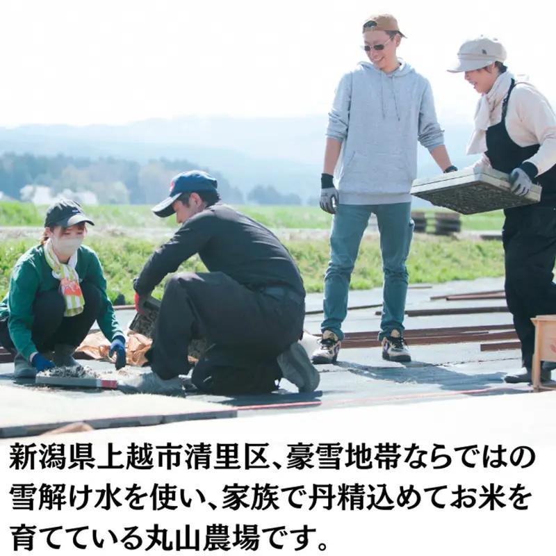隔月5ヶ月定期便 令和8年 新潟県産 特別栽培米 新之助 5kg 5キロ（5回配送 計25kg）  10月配送開始 上越市 清里区 丸山農場 精米 限定 しんのすけ 送料無料