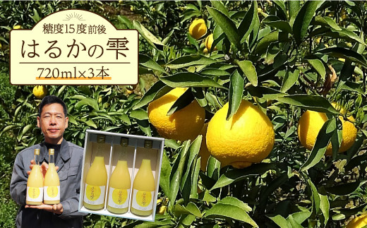 
【ギフト可】【糖度15度前後】はるかの雫（720ml×3本）長与町/岩永農園 [EAZ002]
