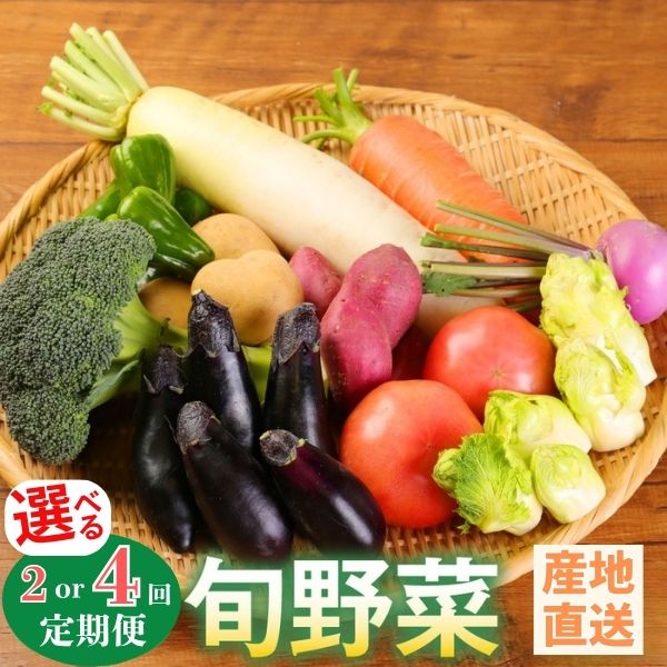 【ふるさと納税】 【選べる定期便】 旬の野菜 定期便 野菜セット 詰め合わせ 春夏秋冬 野菜 おまかせ 新鮮 やさい レシピ付き 野菜スープ 野菜ジュース 高知県 室戸市 産地直送 おすすめ 故郷納税 送料無料