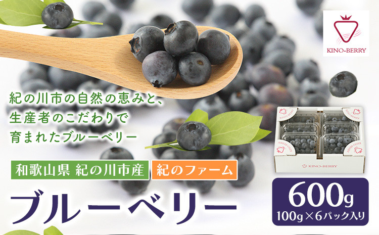 
            ブルーベリー 600g (100g×6パック入り) 紀のファーム株式会社 《2025年5月中旬-8月上旬頃出荷》 和歌山県 紀の川市
          