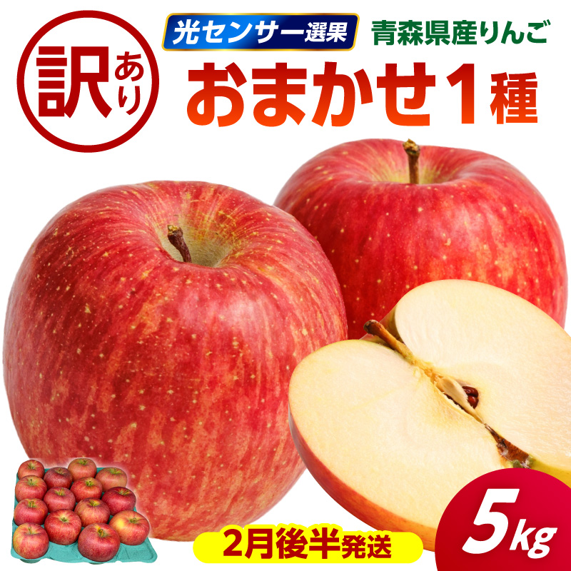 【2027年2月後半発送】 【訳あり】 りんご 青森産 約5kg 品種おまかせ1種