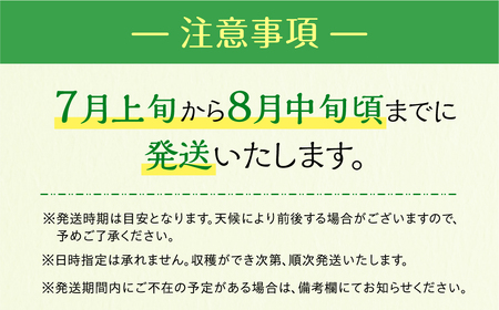 《先行予約》マスクメロン プレミアム 2玉 伊良湖メロン男子