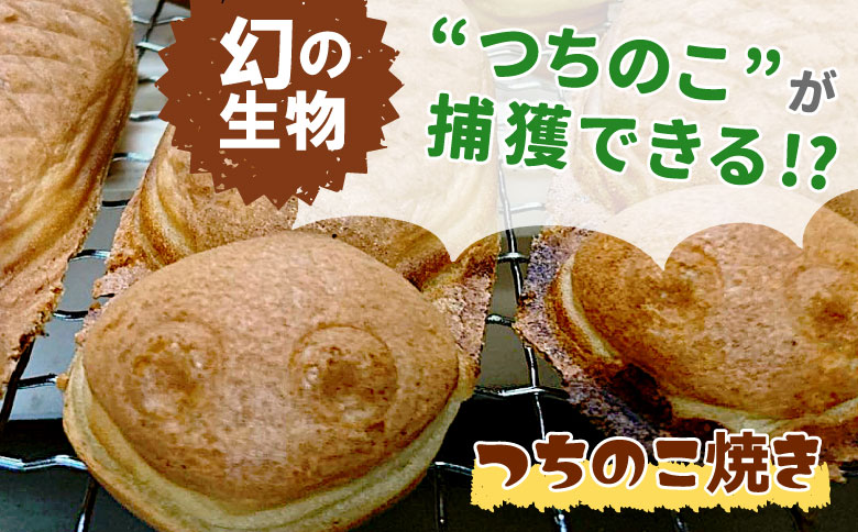 【冷蔵】道の駅の大人気名物！つちのこ村の つちのこ焼き 24匹 (あんこ カスタード) つぶあん たい焼き 和菓子 冷蔵 つぶあん 粒あん カスタード 個包装 東白川村 ツチノコ つちのこ