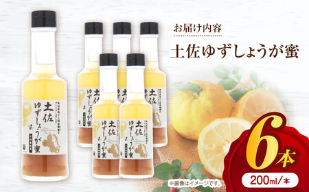 土佐ゆずしょうが蜜6本 / 冬 生姜 高知 柚子 シロップ 紅茶 ジンジャー 炭酸【はるのTERRACE】 [ATAV010]