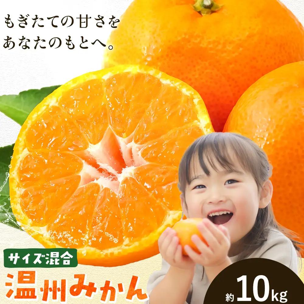 みかん 温州 みかん 約10kg エイワ商店