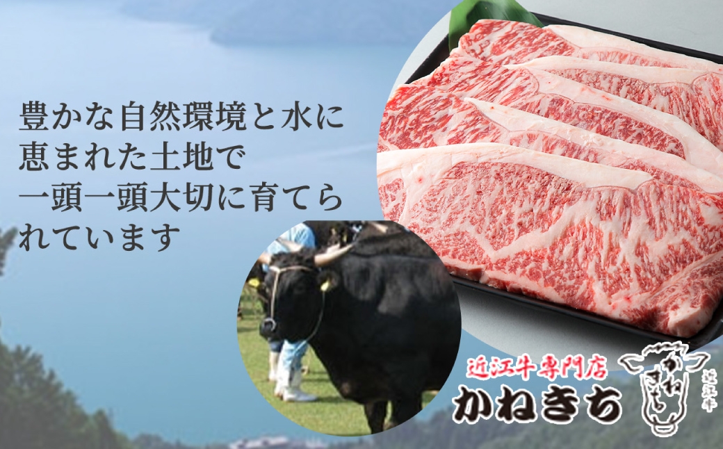  近江牛専門店かねきち 近江牛 モモしゃぶしゃぶ用 K19