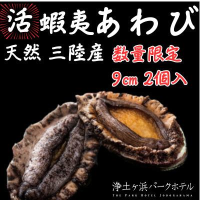 
            ＜先行予約(12月発送)＞岩手県より獲れたて鮮魚直送便 ＜活蝦夷アワビ150g×2個＞【1554527】
          