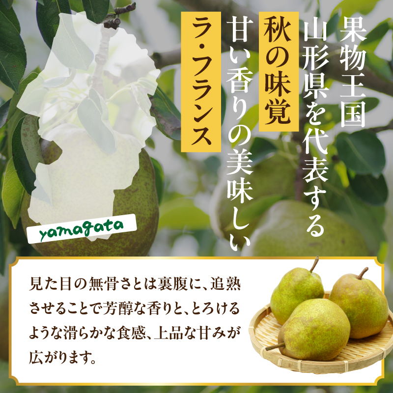 山形県産洋梨 ラ・フランス 秀品 約5kg【2026年11月上旬頃～発送予定】