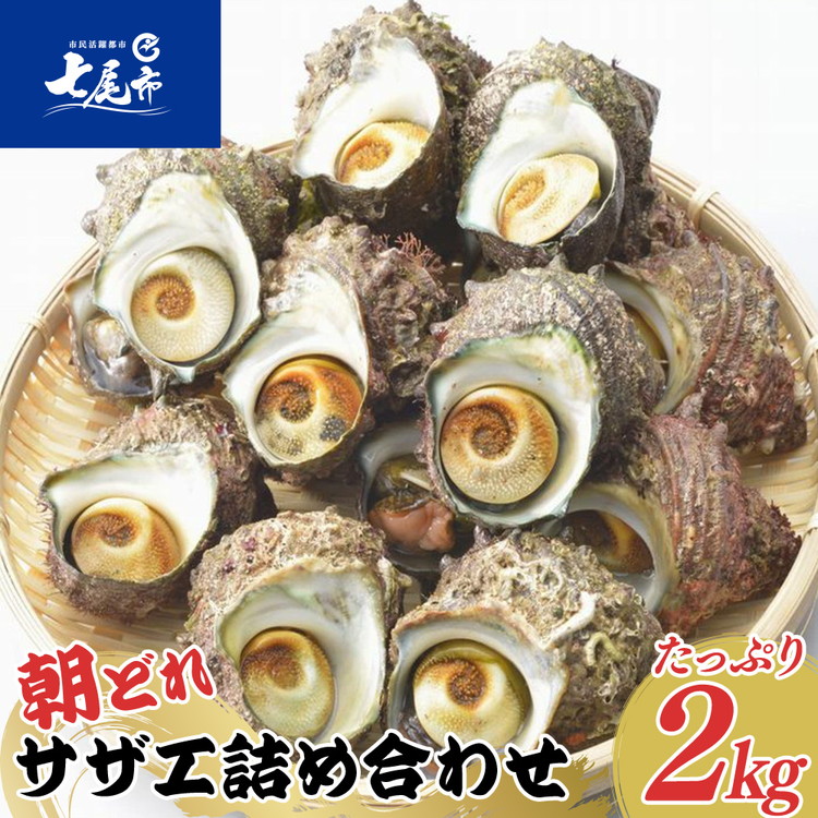朝どれ旬のサザエ詰め合わせ（大2kg）刺身 つぼ焼き 貝 ※季節商品 ※2026年6月上旬～9月下旬頃に順次発送予定