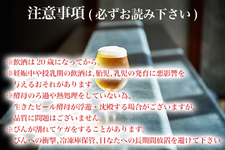 クラフトビール ペールエール (1本330ml×6本セット) Pale Ale 呼子 ご当地 瓶ビール ギフト クラフト お酒 アルコール 家飲み